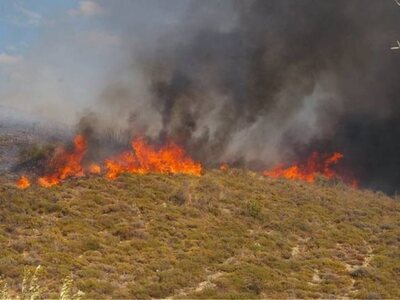 Πυρκαγιά σε δασική έκταση στην Κεφαλονιά