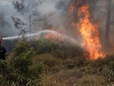 Πάτρα: Φωτιά σε ελαιώνα στη περιοχή του ...