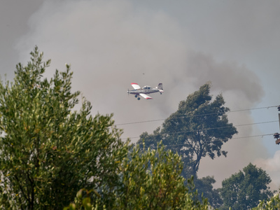 Εισαγγελική παρέμβαση για τις φωτιές- Yπ...