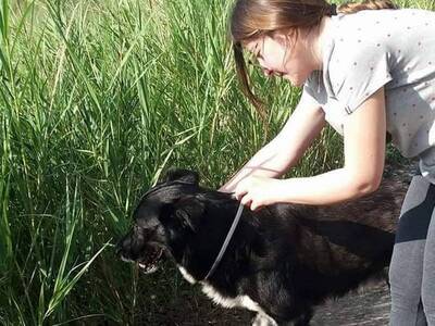 Η ΜΑΡΙΖΑ ΜΕΝΤΖΙΟΥ