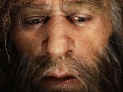 Η ανάλυση του αρχαιότερου DNA φωτίζει τη...