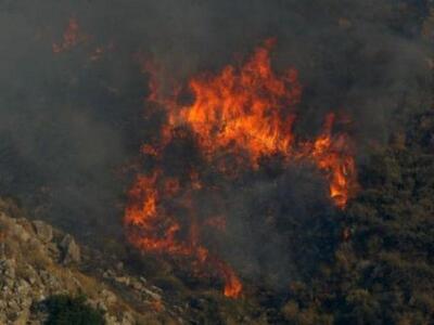 Και νέα φωτιά το απόγευμα σε δάσος της Ηλείας 