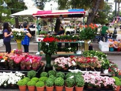 Απόψε στα Ψηλαλώνια η γιορτή των λουλουδ...