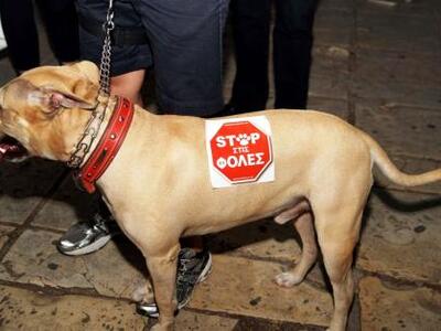 Αμαλιάδα: Τον συνέλαβαν γιατί πέταξε το ...