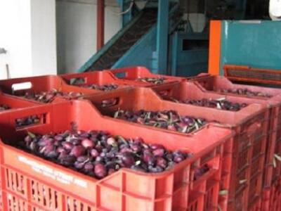 Αιτωλοακαρνανία: Σε απόγνωση αγρότες και...