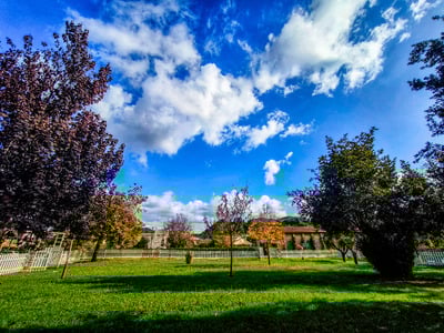 Καιρός: Ήπιες θερμοκρασίες, τοπικές βροχ...