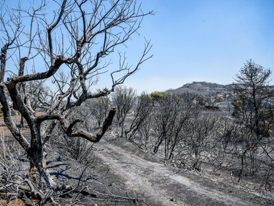 To ευχαριστήριο του  Δήμου Δυτικής Αχαΐα...