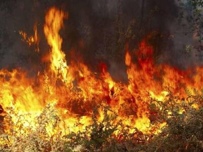 Έσβησε η πυρκαγιά στην Μιτόπολη Αχαΐας 