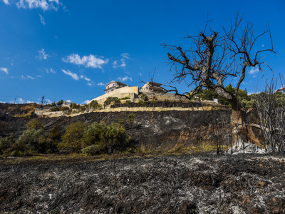 ΕΛΓΑ Πάτρας: Οδηγίες για τη διαχείριση π...