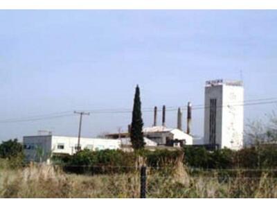 ΟΛΠΑ:Αποδίδει 100 στρέμματα της Πειραϊκή...