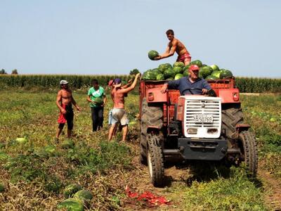 Δυτική Αχαΐα: Ξεσηκώνονται οι αγρότες