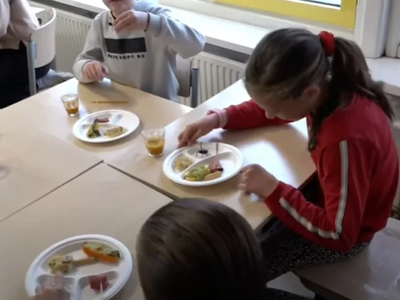 Ολλανδία σερβίρουν αλευροσκώληκες και έν...