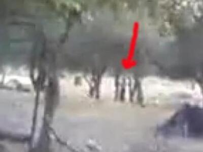 Θεσπρωτία: Απόφαση καταπέλτης για κακοπο...