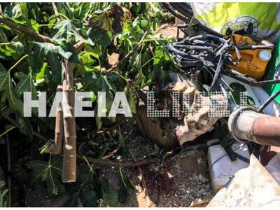 Σαμικό Ηλείας: Γύρισε το αλυσοπρίονο και...