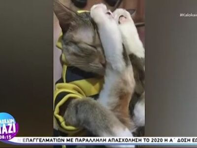 Χιουμοριστικά βίντεο από το διαδίκτυο!