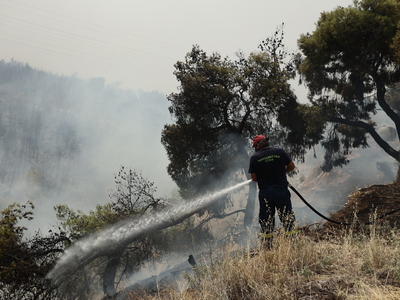 Φωτιά στη Θεσσαλονίκη: Στο νοσοκομείο 2 ...