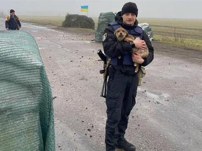 Ουκρανία: Ένας σκύλος ο μόνος επιζώντας ...