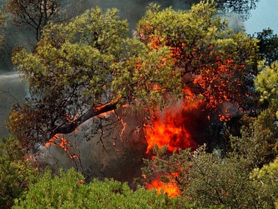 Μαίνεται το πύρινο μέτωπο στην Ακράτα