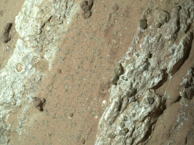 NASA / JPL-Caltech / MSSS / Handout via REUTERS