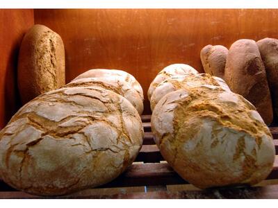 Από μικροί στις κλοπές - Παιδιά έκλεψαν ...