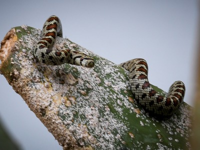 Σοκ για φοιτήτρια στην Λάρισα: Βρήκε οχι...