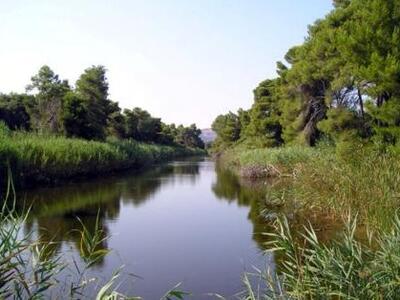 Πάτρα: "Η γραφειοκρατία «πνίγει» τη...