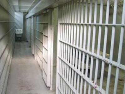 Έντονο το πρόβλημα υπερπληθυσμού στις φυ...