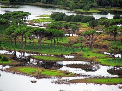 Πάτρα:"Καλές Πρακτικές στη διαχείρι...