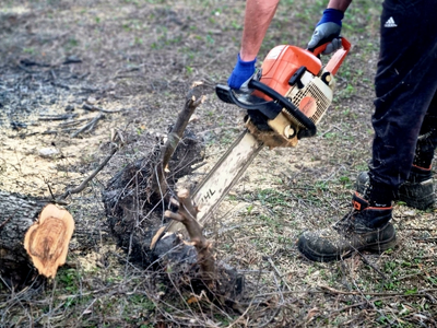 Ιωάννινα: Κορμός οξιάς καταπλάκωσε ξυλοκ...