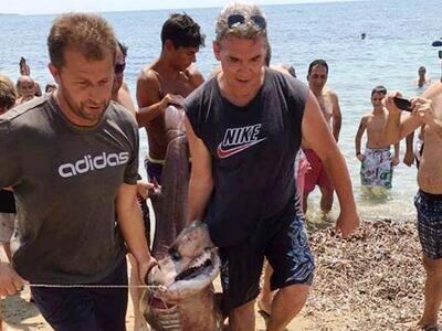 Ψαράδες έβγαλαν στη στεριά καρχαριάκια σ...