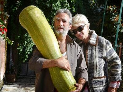 Πάτρα: Διαγωνισμός... κολοκύθας μεταξύ γ...