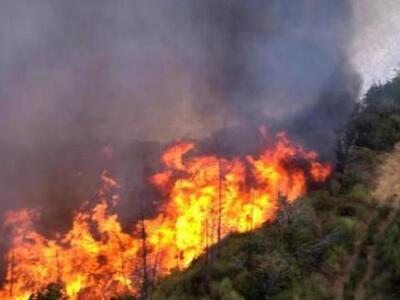 Δύο τα πύρινα μέτωπα στην Κορινθία- Στο ...