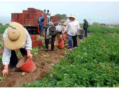 Στον αέρα κινδυνεύει να τιναχτεί η αγροτ...
