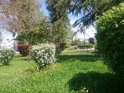 Πλατεία Δροσιάς.