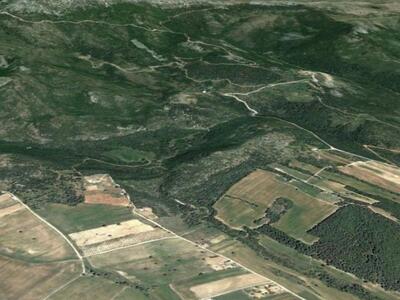 Πάτρα: Ημερίδα για τους δασικούς χάρτες 