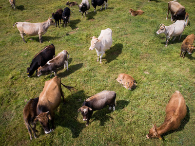 38 Αγρινιώτες καταδικάστηκαν για απάτη σ...