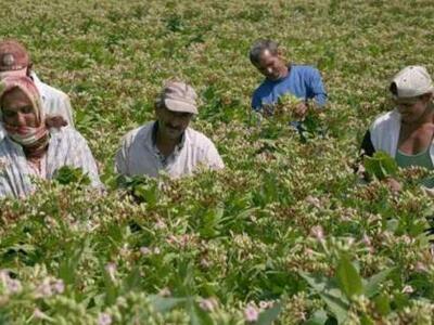 Έκαναν τις επιδοτήσεις ταξίδια!