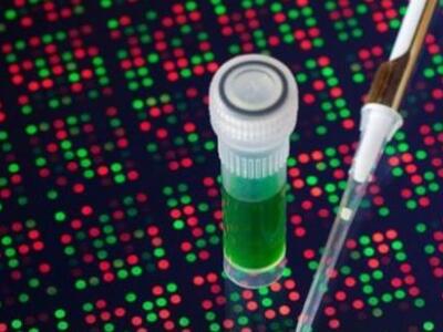 Τεχνητά χρωμοσώματα δημιούργησαν αμερικα...