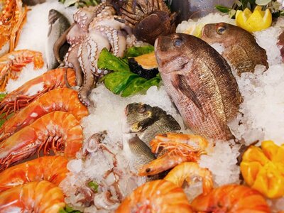 Περιφέρεια Δυτ. Ελλάδας: Κατασχέθηκαν πά...