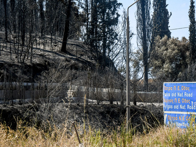Πάτρα: Έκτακτη οικονομική ενίσχυση 84.39...