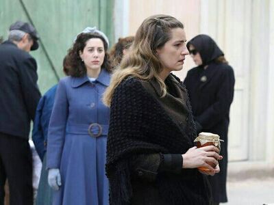 Άγριες μέλισσες: Έτσι θα προφυλακιστεί η...