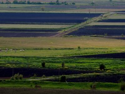 Δυτική Αχαΐα: Αγροτεμάχια μηδενικής αξία...