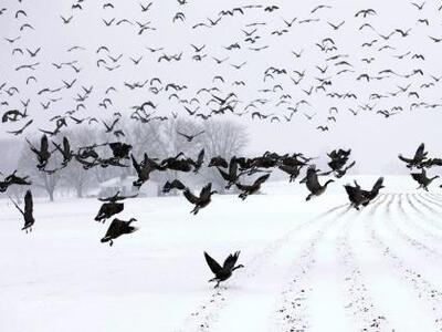 Ξαναπάγωσαν οι καταρράκτες του Νιαγάρα -...