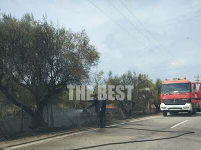 Φωτιά στον δρόμο από Λάππα προς Μετόχι