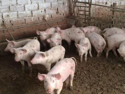 Αιτωλοακαρνανία: Έγινε και αυτό! Άγνωστο...