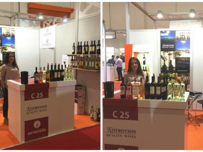 Οινοποιία Κοτρώτσος