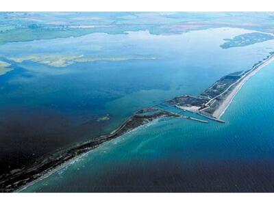 Ηλεία: Συνεχίζουν την δράση τους οι &quo...