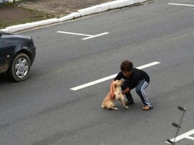 Γυναίκα σώζει τραυματισμένο σκύλο σε εθν...