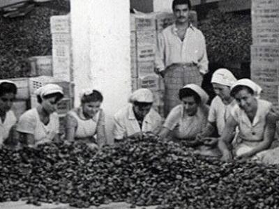 Η ιστορία της οικογένειας Παπαδημητρίου ...