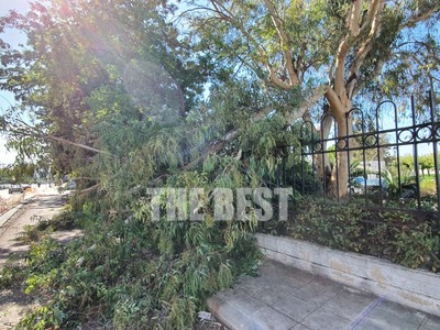 Πάτρα: Έπεσε δέντρο στην Ηρώων Πολυτεχνείου- ΦΩΤΟ